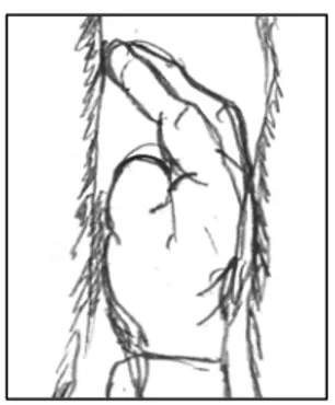 Gambar 13. Hand Crack  Sumber : Gladian Nasional (2001 : 41) 