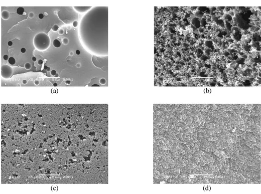 Gambar 2.  Foto SEM dari (a) C-PF, (b) C-RF, (c) C-RPF, (d) C-RPFEG2   Kurva  isoterm  tersebut  menunjukkan  bahwa 