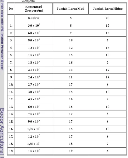 Tabel 1.  Jumlah larva Ae. aegypti yang mati dan hidup pada setiap konsentrasi zoospora  