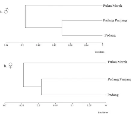 Gambar  1.  Dendogram  Papilio  polytes  jantan  (a)  dan  betina  (b)  berdasarkan  karakter  morfologi  yang dianalisis  dengan cluster UPGMA