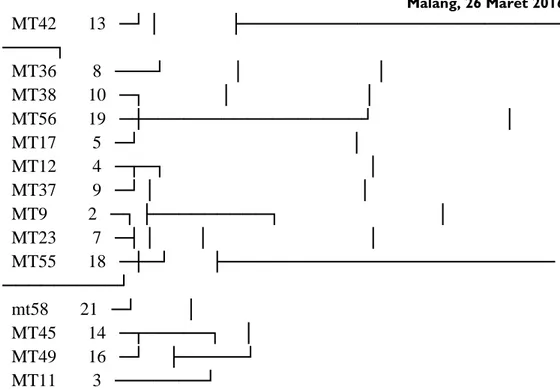 Gambar 1.  Dendogram hasil pengelompokan dari variabel densitas stomata dan rasio  ukuran stomata (P/L) dengan Metode Ward‘s 
