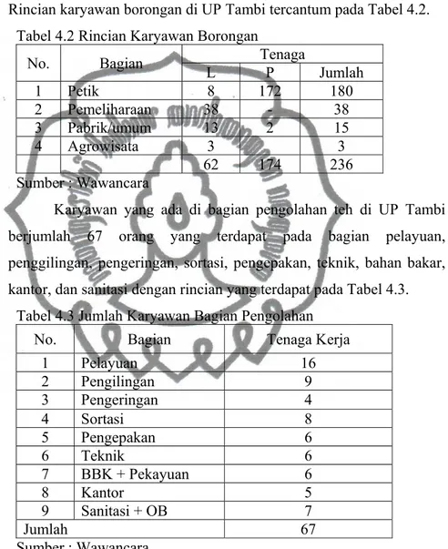 Tabel 4.2 Rincian Karyawan Borongan  