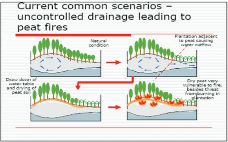 Gambar  2. Drainase pada lahan gambut yang mendukung terjadinya kebakaran (Lee,  2004) (Peatland drainage that supported burning)