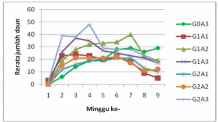 Tabel  9.  Rerata  peningkatan  jumlah  daun  B.  nivea  dengan  perlakuan  GA 3  dan  variasi ketersediaan air setiap 1 minggu sekali