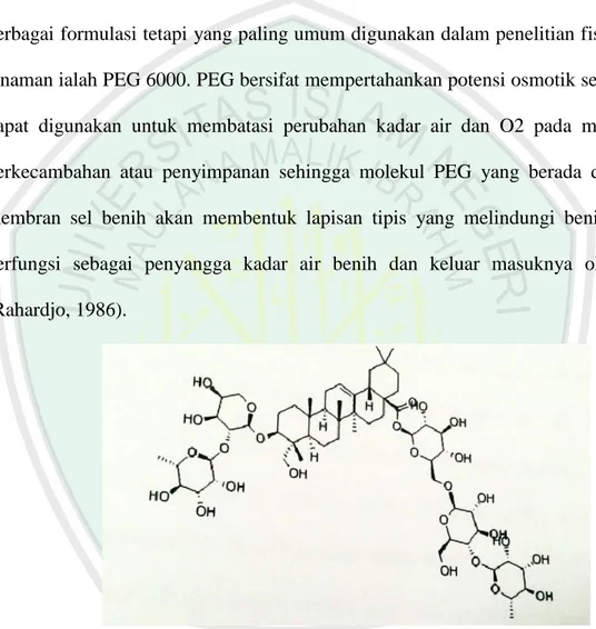 Gambar 2.5 Struktur molekul PEG berikatan dengan air (Plaut, 1985)  PEG  mampu  mengikat  air  ketika  molekul  H 2 O  berikatan  dengan  OH  sehingga  terbentuk  ikatan  hidrogen