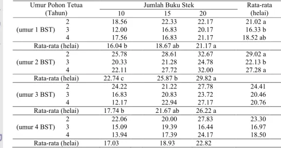 Tabel 6.  Pengaruh  Umur  Pohon  Tetua  (U)  dan  Jumlah  Buku  Stek  Cabang  (B) terhadap Jumlah Daun pada Berbagai Umur Bibit