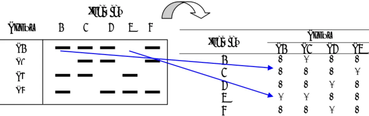 Gambar 10  Cara penilaian pita dengan sistem skoring (1= ada pita, 0= tidak ada  pita)