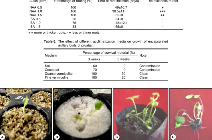 Table 6.  The effect of different acclimatization media on growth of encapsulated  axillary buds of pruatjan