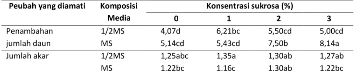 Tabel  3.  Rekapitulasi  hasil  uji  DMRT  tunas  pamelo  pada  konservasi  dengan  penurunan  konsentrasi  media MS dan sukrosa  