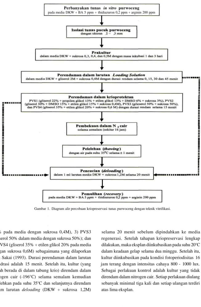 Gambar 1. Diagram alir percobaan kriopreservasi tunas purwoceng dengan teknik vitrifikasi.