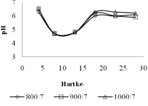 Gambar 5. Grafik pH harian campuran vinasse, rumen,  dan NH 4 NCO 3