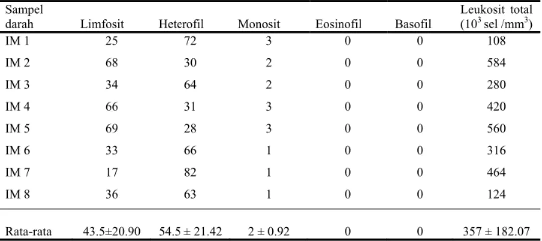 Tabel 3  Jumlah sel darah putih total (10 3  sel/mm 3 ) dan diferensiasi leukosit        (%) ikan mas strain Majalaya  