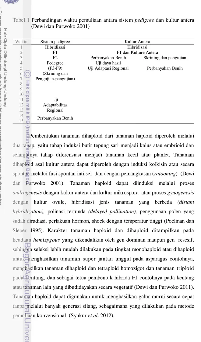 Tabel 1 Perbandingan waktu pemuliaan antara sistem  pedigree  dan kultur antera  (Dewi dan Purwoko 2001) 