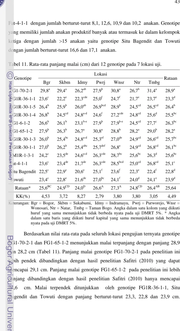 Tabel 11. Rata-rata panjang malai (cm) dari 12 genotipe pada 7 lokasi uji. 