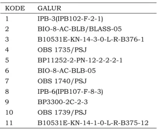 Tabel 1. Kode Genotipe  KODE GALUR  1 IPB-3(IPB102-F-2-1)  2 BIO-8-AC-BLB/BLASS-05  3 B10531E-KN-14-3-0-L-R-B376-1  4 OBS  1735/PSJ  5 BP11252-2-PN-12-2-2-2-1  6 BIO-8-AC-BLB-05  7 OBS  1740/PSJ  8 IPB-6(IPB107-F-8-3)  9 BP3300-2C-2-3  10 OBS  1739/PSJ  11