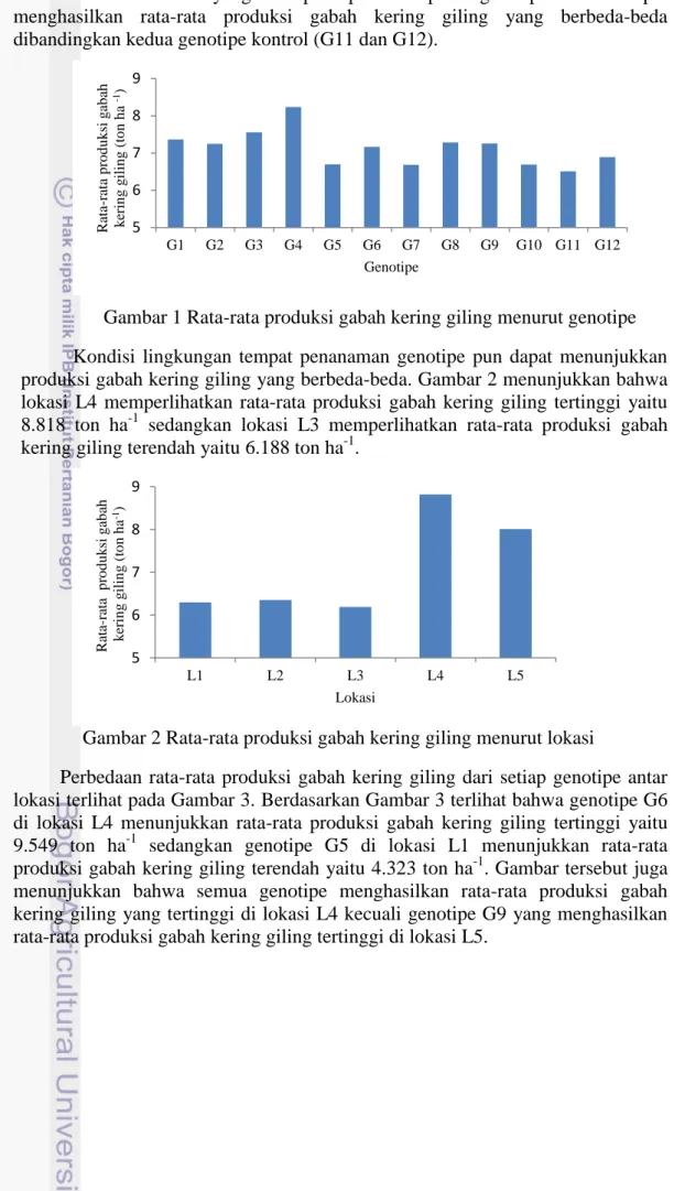 Gambar 1 Rata-rata produksi gabah kering giling menurut genotipe  Kondisi  lingkungan  tempat  penanaman  genotipe  pun  dapat  menunjukkan  produksi gabah kering giling yang berbeda-beda