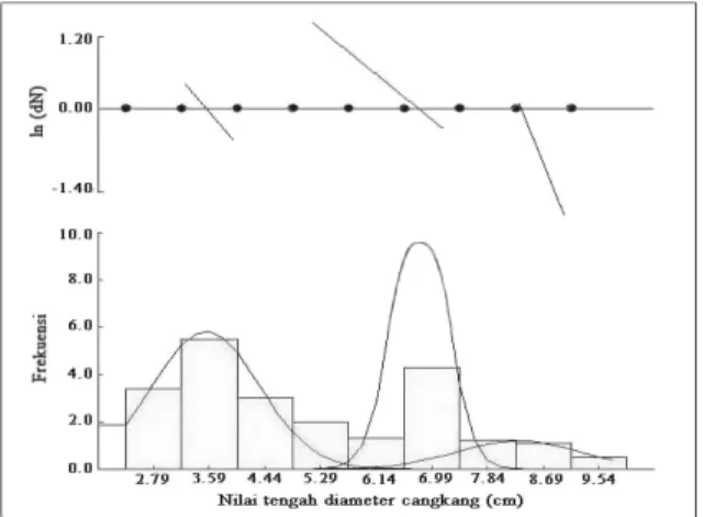 Gambar 2. Jumlah kelompok umur berdasarkan  distribusi frekuensi diameter cangkang keong lola  (Trochus niloticus) dengan menggunakan metode  Bhattacharya 14) 