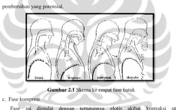 Gambar 2.1 Skema ke empat fase batuk c. Fase kompresi