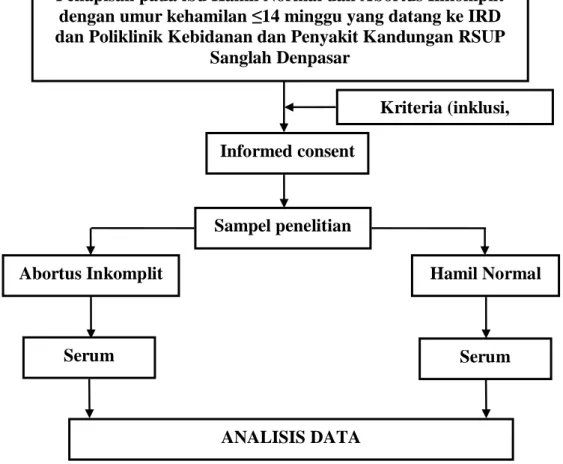 Gambar  4.1 Alur Penelitian 