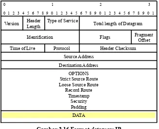 Gambar 2.16 Format datagram IP