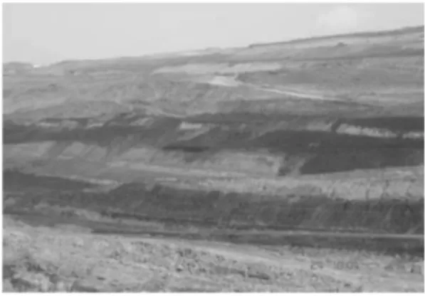 Gambar 1: Lokasi pengambilan sampel area penamban- penamban-gan PTBA
