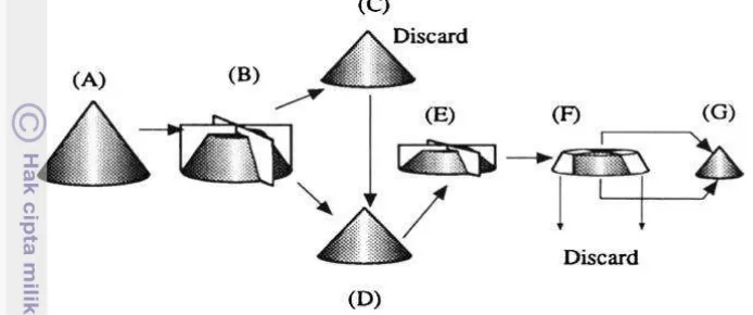 Gambar 2  Coning and quartering methods (Allen 1997). 