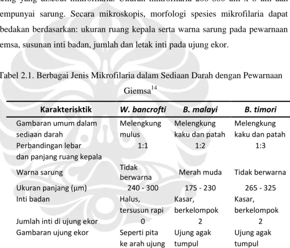 Tabel 2.1. Berbagai Jenis Mikrofilaria dalam Sediaan Darah dengan Pewarnaan  Giemsa 14