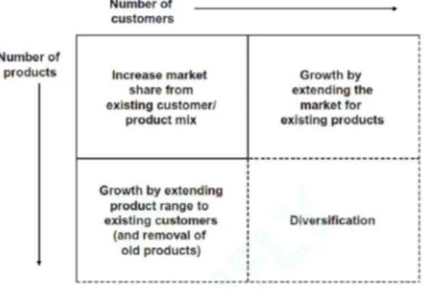 Gambar 2.4 Dimensi pertumbuhan bisnis  Beberapa  isu  kunci  strategi  yang  ditekankan  di  dalam model ini antara lain: 