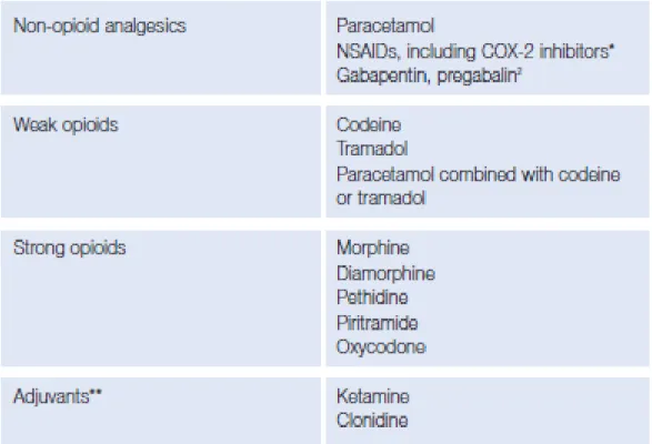 Tabel 2.8-1. Obat farmakologis untuk penanganan nyeri 2 .  