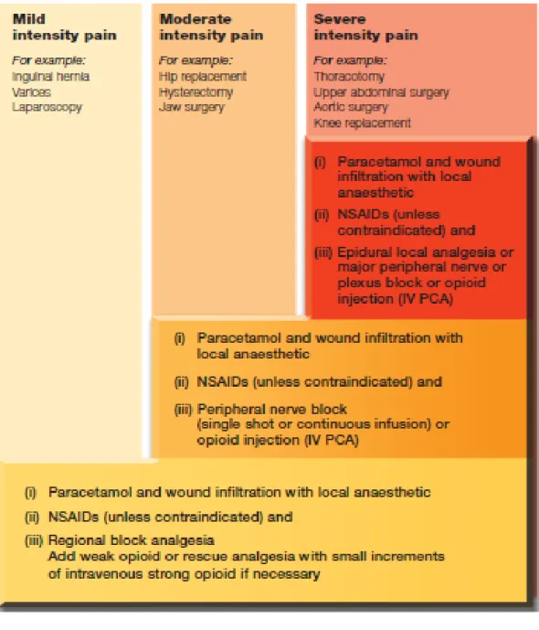 Tabel 2.8-2. Pilihan terapi untuk penanganan nyeri berdasarkan jenis                        operasi 2