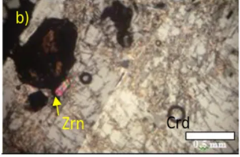 Gambar 7. a). Tekstur janerik Granit Menumbing berukuran kasar dengan biotit melimpah