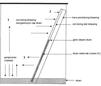 Gambar 2.7   Proses yang terjadi dalam chamber.  