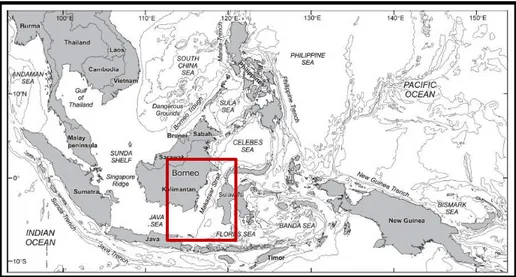 Gambar 2 : Peta tektonik global Pulau Sulawesi (Coffield, et al 1993). 