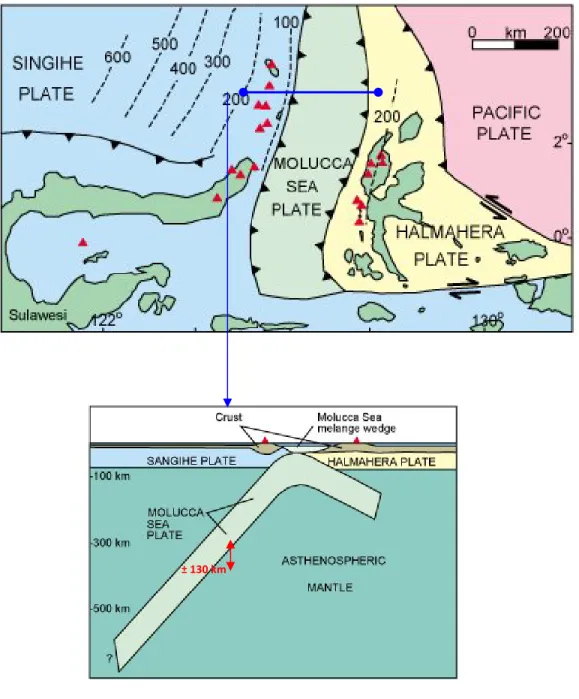 Gambar 5.  Posisi tektonik Gunungapi Ruang yang terletak pada Lempeng Sangihe yang posisinya sekitar ± 130  km dengan zone subduksi (Hamilton, 1978)