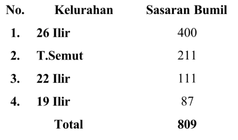 Tabel 2. Sasaran Ibu Hamil di Puskesmas Merdeka Palembang Tahun 2012 No.  Kelurahan  Sasaran Bumil