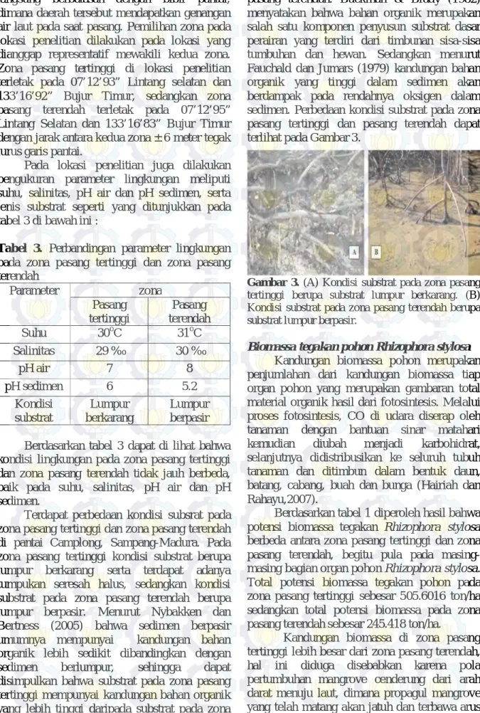 Tabel  3.  Perbandingan  parameter  lingkungan  pada  zona  pasang  tertinggi  dan  zona  pasang  terendah  Parameter  zona  Pasang  tertinggi  Pasang  terendah  Suhu  30 o C  31 o C  Salinitas  29 ‰ 30 ‰  pH air  7  8  pH sedimen  6  5.2  Kondisi  substra
