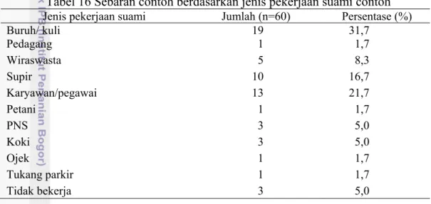 Tabel 16 Sebaran contoh berdasarkan jenis pekerjaan suami contoh  Jenis pekerjaan suami  Jumlah (n=60)  Persentase (%) 