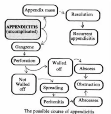 Gambar 4. Perjalanan Penyakit Apendisitis 4