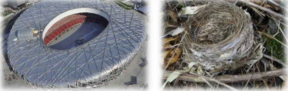 Gambar 8. Bird Nest Stadium (kiri) dan analogi sarang burung (kanan) 