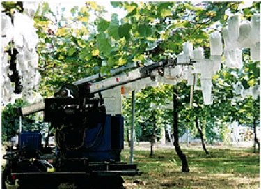 Gambar 1. Robot pemanen anggur. 