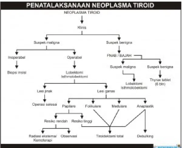 Gambar 1. bagan penatalaksanaan neoplasma tiroid