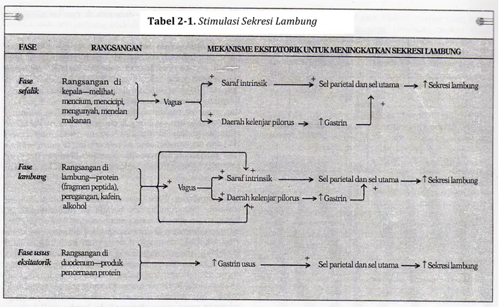 Tabel 2-1. Stimulasi Sekresi Lambung 