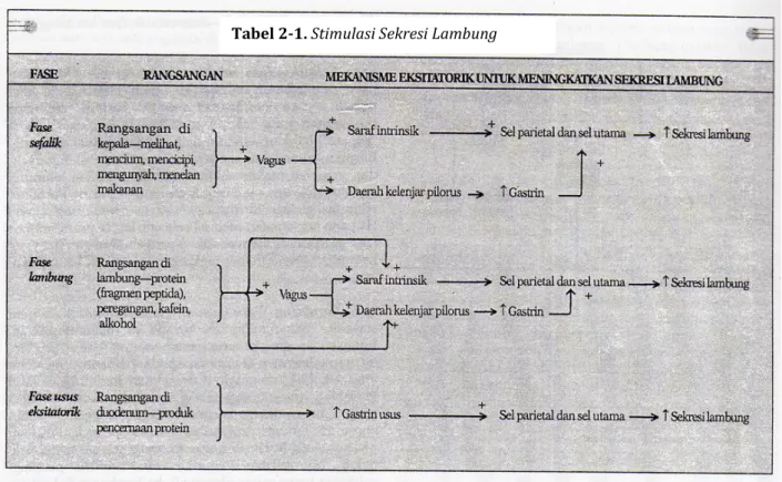 Tabel 2-1. Stimulasi Sekresi Lambung 