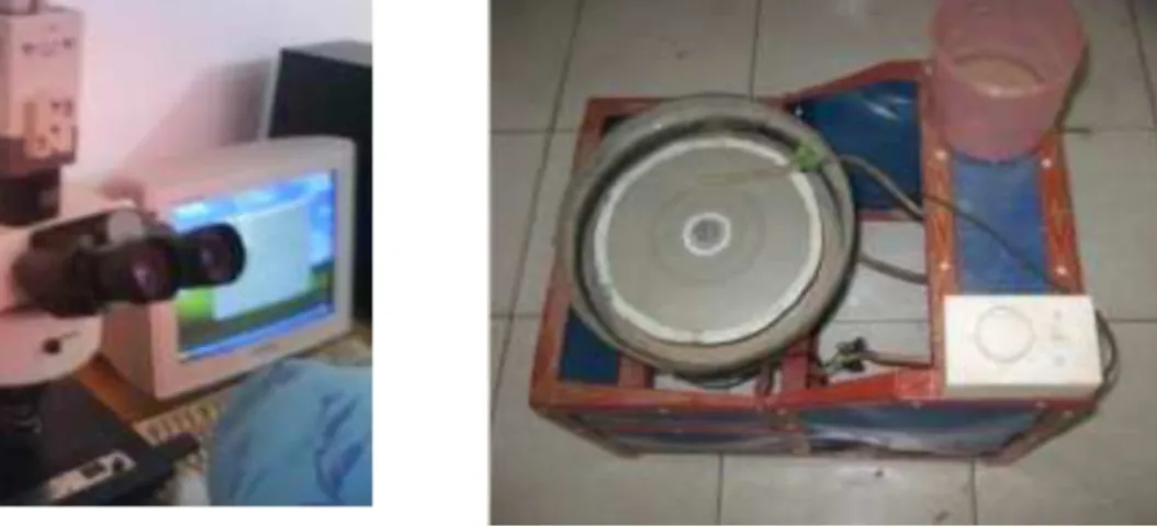 Gambar 4. Desain spesimen