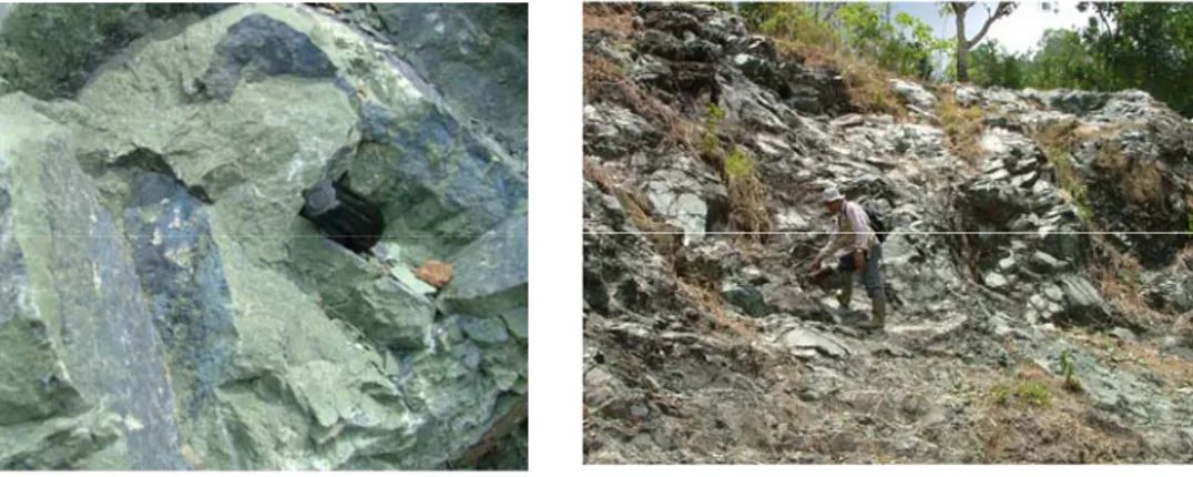 Gambar 10. Serpentinit, batuan dari dasar lempeng samudera yang telah terubah berwarna  kehijauan 