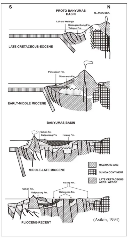 Gambar  4. Model evolusi tektonik cekungan Banyumas (Asikin, 1994) 
