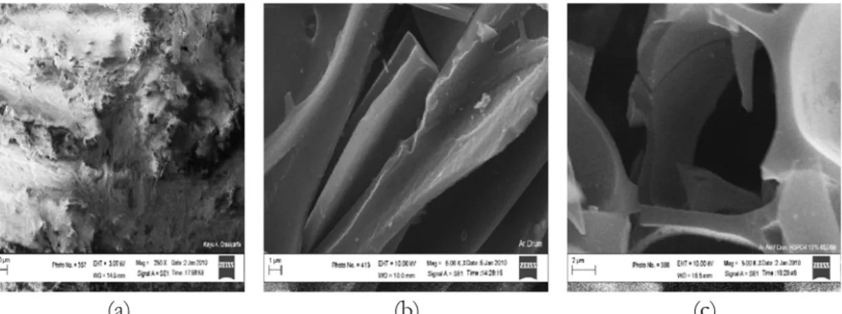 Figure 1. SEM photograph from (a) stump (b) charchoal and (c) actived charcoal of A.crassicarpa 2