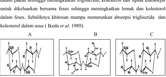 Gambar 9 Rumus kimia sellulosa (A), khitin (B) dan khitosan (C) 