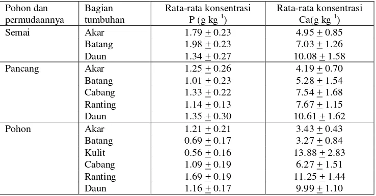 Tabel 4. Analisis rata-rata kandungan P dan Ca (g kg-1) pada tingkat pohon dan permudaanya