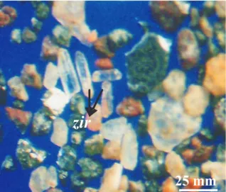 Tabel 1. Kandungan Mineral Zirkon pada Percontoh Sedimen  Dasar Laut (%)                  zir        25 mm    zir                                                           zir      50mm 